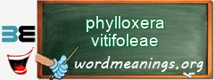 WordMeaning blackboard for phylloxera vitifoleae